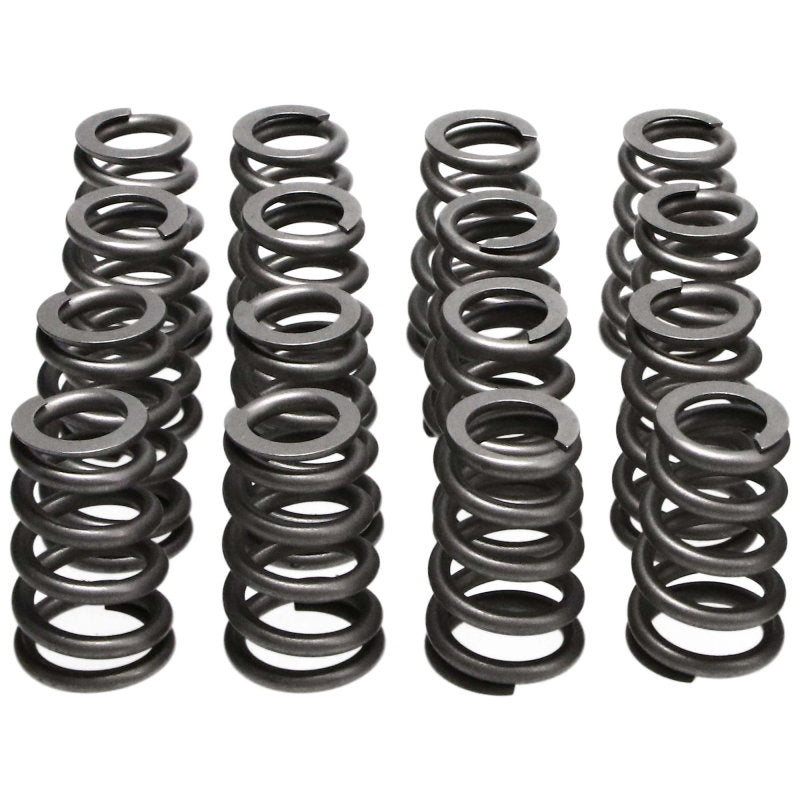 MAN Valve Spring Kits