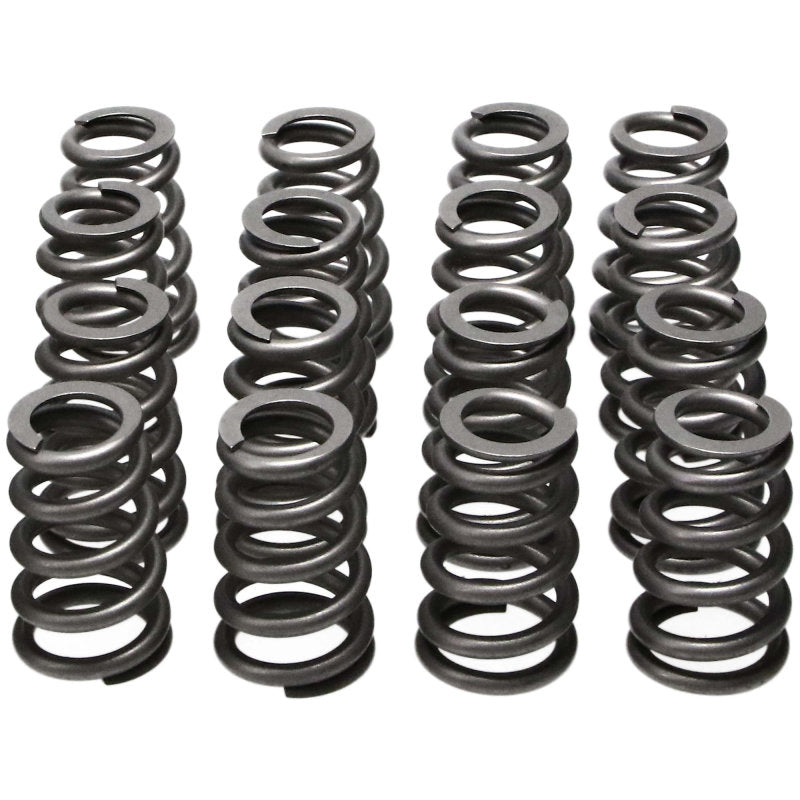 MAN Valve Spring Kits