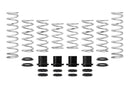 Eibach Pro-UTV 17-18 Polaris XP1000 Turbo 2-Seat Stage 3 Performance Springs